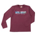 Παιδική μπλούζα μακό μακρυμάνικη για αγόρι μπορντό Funky 223-106100-3