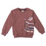 Παιδική μπλούζα φούτερ για αγόρι καφέ Funky 223-392100-2