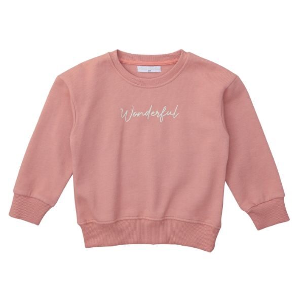Μπλούζα φούτερ μακρυμάνικη για κορίτσι σε χρώμα mistry-rose funky 223-792101-2