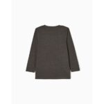 Μπλούζα μακρυμάνικη για αγόρι σκούρο γκρί zippy ZKBAP0303_22103