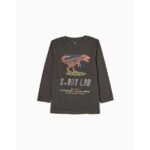 Μπλούζα μακρυμάνικη για αγόρι σκούρο γκρί zippy ZKBAP0303_22103