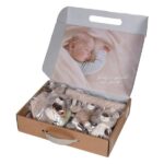 Σετ Δώρου 5τμχ.Teddy Bear Nature Bebe Stars 60-102