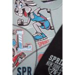 Σετ φόρμες φούτερ για αγόρι σε χρώμα dusty mint-μαύρο Sprint 252-1014-542